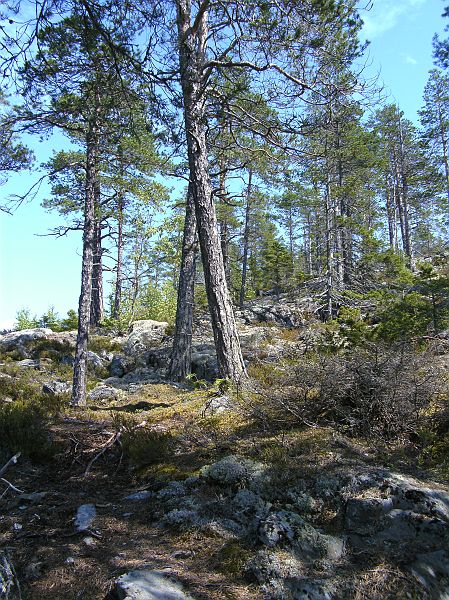 Nordkap 2009 107.jpg
